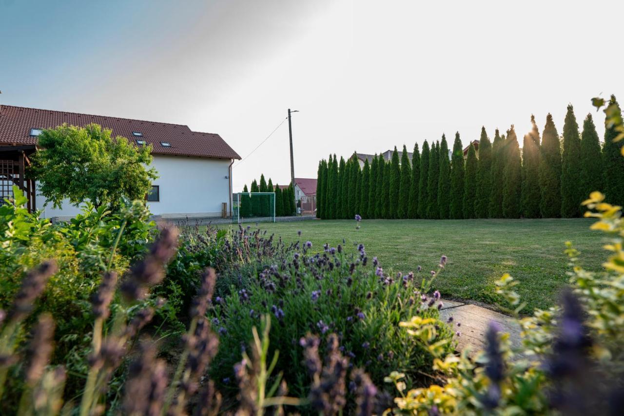 Pensiunea Gassi Sancraiu de Mures Esterno foto